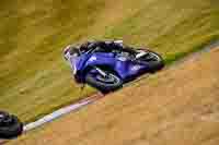 Advanced Group Blue Bikes